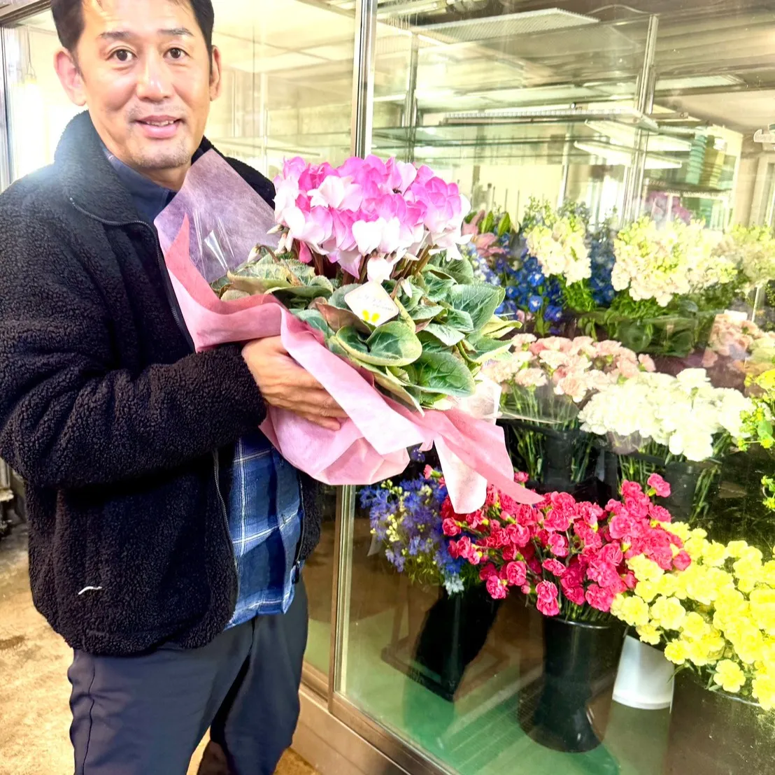 シクラメン入荷しました！