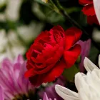 供花